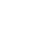 icon-1-alb