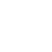 icon-2-alb
